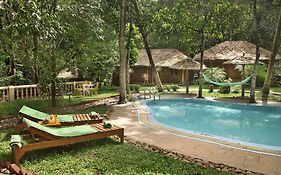 Thekkady Woods Hotel